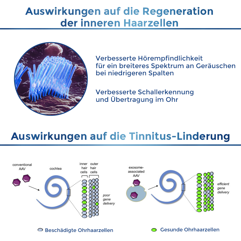 Biancat™ AudiAid Therapeutischer Tinnitus-Linderungsstift